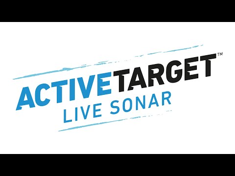 Lowrance ActiveTarget™ Live Sonar